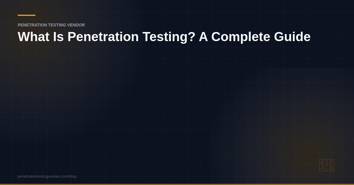 what is penetration testing